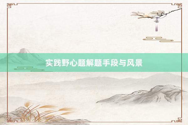 实践野心题解题手段与风景